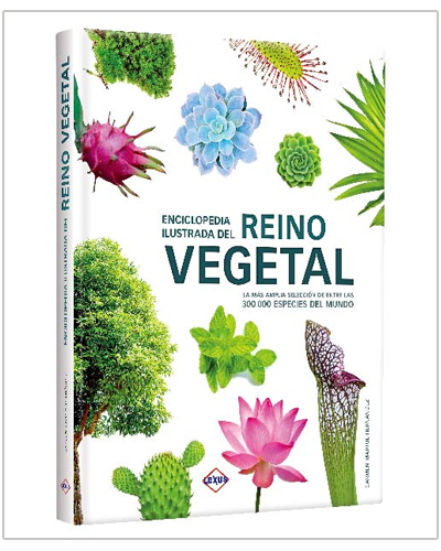 Reyno Vegetal Reyno Vegetal