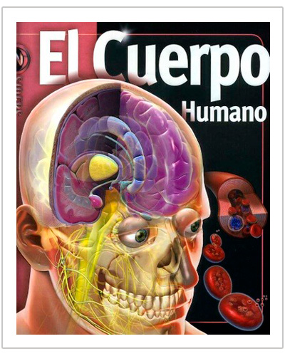 Cuerpo Humano